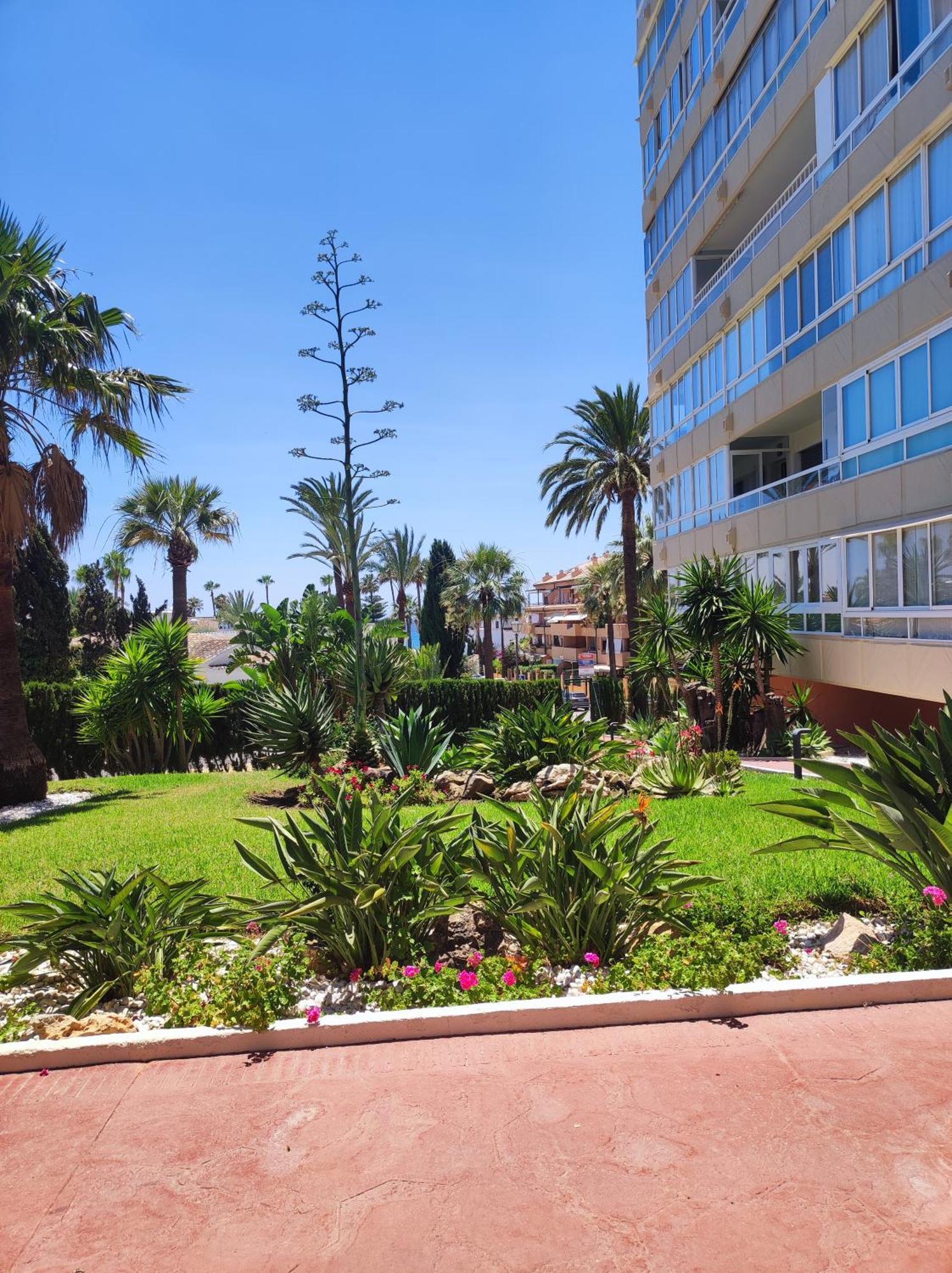 Villaplaya